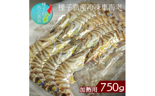 種子島 産 車えび サイズミックス 冷凍 車海老  (250g×3袋) 計750g NFN072 【450pt】 // 黒潮 活きえび 急速冷凍 真空パック冷凍 加熱用 甘み 旨み 新鮮 ぷりっぷり 250g 小分け 塩焼き 海老フライ 天ぷら エビチリ