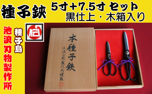 種子島 伝統工芸 種子鋏 (たねばさみ) 5寸 + 7.5寸 黒仕上 セット 木箱入 NFN197【2300pt】