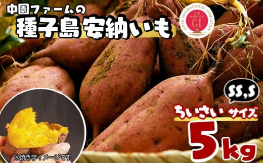種子島 中園ファーム 安納いも ( 生芋 ) SS / S サイズ 5kg NFN457【250pt】// 安納芋 安納いも発祥の地 本場・安納地域産 糖度 熟成期間 G.I 保護制度 ブランド 金賞 生いも 芋 いも さつまいも