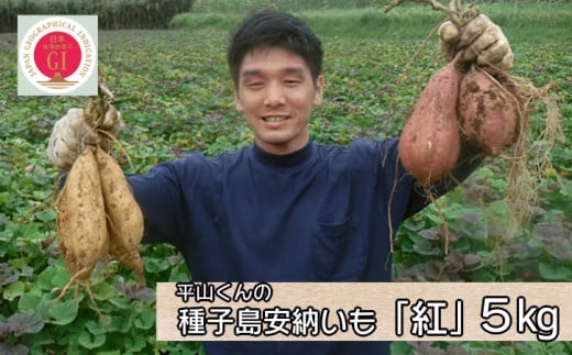 「種子島 安納いも 平山農園「 紅 」(Mサイズ) 5kg NFN451【350pt】 // THE・安納いも 大人気 安納芋 本場・種子島 熟成
