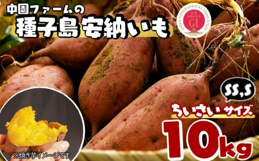 中園ファーム 種子島 安納いも ( 生芋 ) SS,Sサイズ 10kg NFN473【450pt】  // 安納芋 安納いも発祥の地 本場・安納地域産 糖度 熟成期間 G.I 保護制度 ブランド 金賞 生いも 芋 いも さつまいも