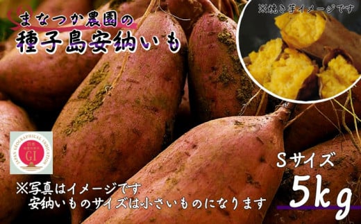 【  新物  】 種子島 まなつか農園 種子島安納いも  ( 生いも ) Sサイズ NFN486【300pt】