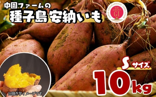 種子島 中園ファーム 安納いも ( 生芋 ) S サイズ 10kg NFN059【450pt】 // 安納芋 安納いも発祥の地 本場・安納地域産 糖度 熟成期間 G.I 保護制度 ブランド 金賞 生いも 芋 いも さつまいも