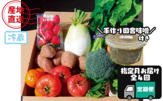 【 定期便 全4回 】 種子島 の 新鮮 野菜 と 果物 7~10品 と 田舎味噌1kg セット(3・6・9・12月にお届け) NFN566 【1500pt】 // 100% 国産大豆 手作り 味噌 旬の野菜 冷蔵 指定月 産地直送