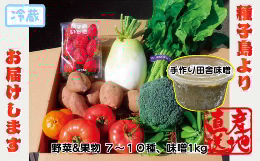 種子島 発!旬の 野菜 と 果物 と 手作り田舎味噌 セット NFN564 【400pt】 // 旬 手作り みそ 味噌 100% 国産大豆 美味しい 産地直送 冷蔵