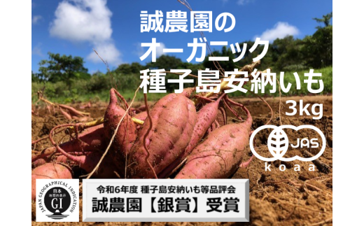 種子島 産 オーガニック (有機) 種子島安納いも (誠農園) 3kg NFN599 【250pt】 有機栽培 有機JAS 認証 安納いも 安納芋 熟成 糖度 オーガニック 安心安全