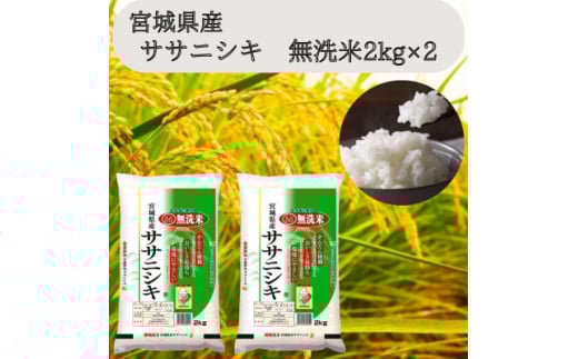 令和7年産<宮城県産>ササニシキ 無洗米2kg×2 計4kg【1607294】