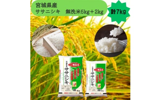 令和7年産＜宮城県産＞ササニシキ　無洗米5kg+2kg　計7kg【1612026】