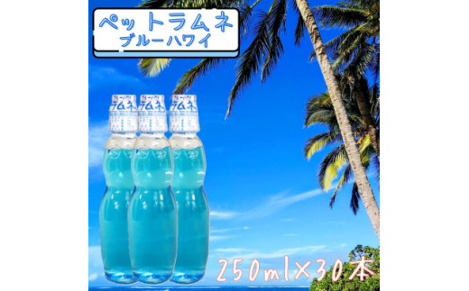 <なつかしい味>ペットラムネ ブルーハワイ(250ml×30本)【1598131】