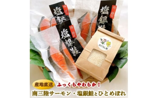 ふっくら柔らか!宮城県南三陸サーモン、塩銀鮭・小分けタイプ3切れ×3袋&ひとめぼれ米2合のセット【1310627】