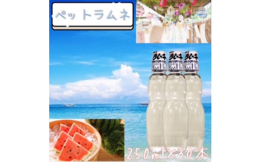 <なつかしい味>ペットラムネ(250ml×30本)【1394602】