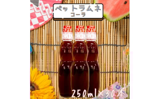 ペットラムネ コーラ(250ml×30本)【1394699】