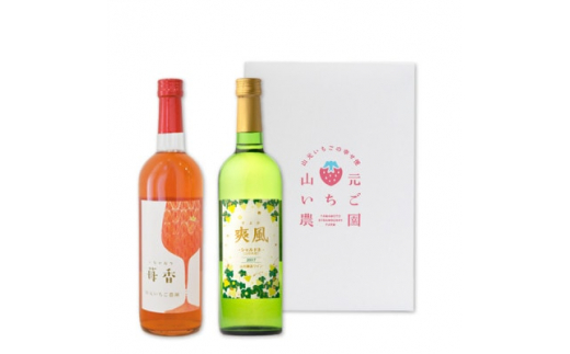 山元いちご農園 苺香・爽風セット【1475593】