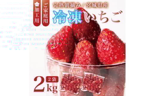 宮城県産 完熟冷凍いちご 2kg(1kg×2袋)<加工用・ご家庭用>ヘタ無しで便利♪通年出荷【1497570】