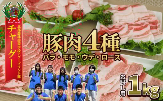 チャ―グー4種食べ比べ1kg（250g×4P） 沖縄 チャーグー アグー ブランド豚 旨み ジューシー ヘルシー 沖縄料理 しゃぶしゃぶ ステーキ ロースカツ バラ モモ ウデ ロース 豚肉 人気 高校生 小分け 豚しゃぶ