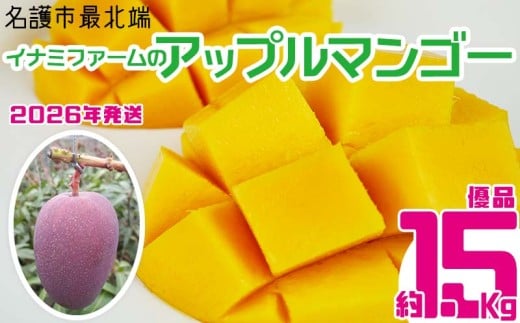 【2026年発送】名護市最北端イナミファームの 優品 アップルマンゴー 約1.5kg フルーツ 果物 期間限定 数量限定 マンゴー 南国 プレゼント お土産 おみやげ ギフト くだもの 季節 おきなわ 青果 デザート おすすめ 人気 冷蔵 夏 スイーツ