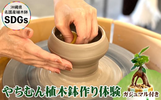 やちむん植木鉢作り体験 ガジュマル付き【SDGs】 やちむん 焼き物 陶芸 ガジュマル 植木鉢 体験 伝統 工芸 植物 鑑賞用 観葉植物 インテリア 初心者 ふるさと納税 おきなわ 沖縄 オキナワ 名護 ナゴ 国産