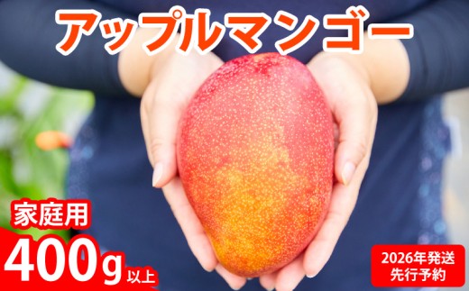 【2026年発送先行予約】アップルマンゴー優品400g以上 沖縄 おきなわ まんごー 自分用 名護市 先行予約 ふるさと納税 送料無料 甘味 糖度 おいしい お土産 アーウィン 果物 くだもの 果実 400グラム スイーツ 食べ物 フルーツ