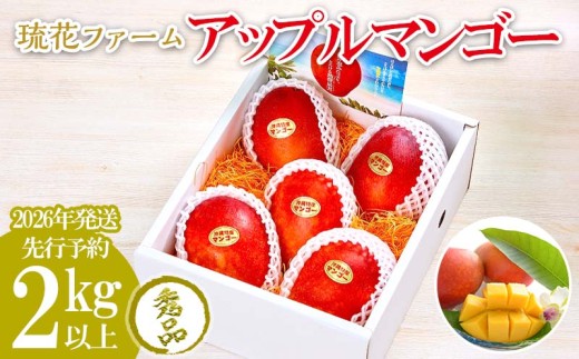 【2026年発送先行予約】アップルマンゴー秀品2kg以上 沖縄 おきなわ まんごー 秀品 贈答用 先行予約 ふるさと納税 送料無料 甘味 糖度 おいしい お土産 アーウィン 果物 くだもの 果実 2キロ 箱入り 食べ物 フルーツ