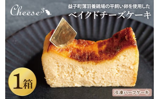 ベイクドチーズケーキ 冷凍ハーフケーキ|栃木県 益子町 ふるさと納税 チーズケーキ ベイクドチーズケーキ ケーキ 冷凍ケーキ(CP004)