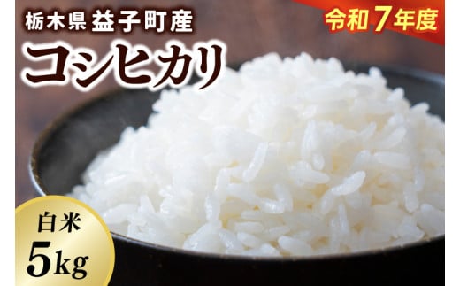 ＼令和7年産／【数量限定】あい　farm　やなぎのお米　令和7年産 コシヒカリ 白米 5kg | 栃木県 益子町 ふるさと納税 お米 米 5kg 白米 (DQ007)