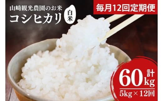 【全12回定期便】＜毎月＞ ★先行予約 10月より順次発送予定★ 山﨑観光農園のお米 コシヒカリ 白米 5kg（合計 60kg）｜栃木県 益子町 ふるさと納税 お米 コシヒカリ 白米 精米 5kg 令和7年産 先行予約 定期便 (AU032)