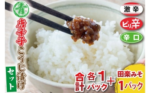 青唐辛子こうじ漬けセット[ピリ辛・辛口・激辛・田楽みそ]ごはん お弁当 おつまみ トッピング おすそ分け
