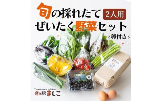 旬の採れたてぜいたく野菜セット(卵付き)2人用 益子町 ふるさと納税 やさい 野菜 セット 旬 野菜 採れたて(AA001)