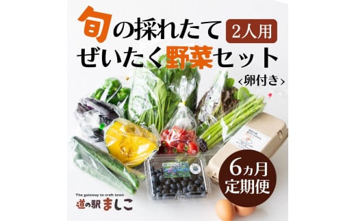 <6ヶ月定期便>旬の採れたてぜいたく野菜セット(卵付き)2人用 益子町 ふるさと納税 野菜セット 野菜 やさい セット 採れたて 卵 たまご 定期便(AA034)