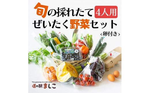 旬の採れたてぜいたく野菜セット(卵付き)4人用 益子町 ふるさと納税 野菜 やさい 野菜セット セット 卵 たまご 旬野菜 定期便(AA005)