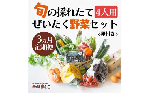 <3ヶ月定期便>旬の採れたてぜいたく野菜セット(卵付き)4人用 益子町 ふるさと納税 野菜セット 野菜 やさい セット 採れたて 卵 たまご 定期便(AA006)