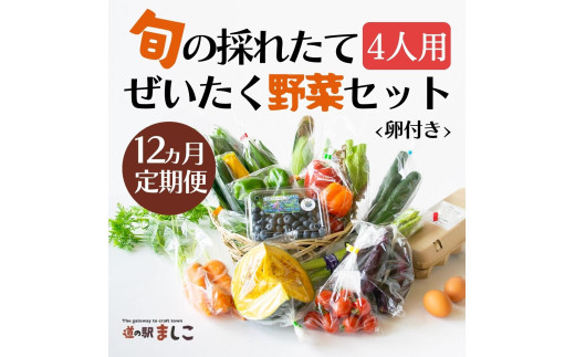 <12カ月定期便>旬の採れたてぜいたく野菜セット(卵付き)4人用 益子町 ふるさと納税 野菜 やさい 野菜セット セット 卵 たまご 旬野菜 定期便(AA036)
