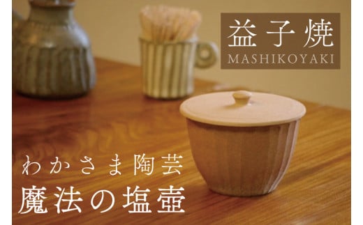 益子焼 魔法の塩壺 わかさま陶芸 電子レンジ可 食洗器可 塩壺 スプーン付き(BJ009)
