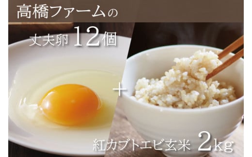 国産たまご「高橋ファームの丈夫卵」12個入り + 紅カブトエビ 玄米 2kg ｜平飼い鶏舎 卵 玉子 タマゴ 鶏卵 朝食 生卵 卵かけごはん (AQ005)