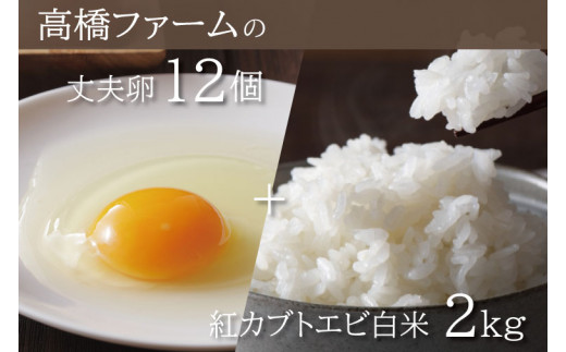 国産たまご「高橋ファームの丈夫卵」12個入り + 紅カブトエビ 白米 2kg ｜平飼い鶏舎 卵 玉子 タマゴ 鶏卵 朝食 生卵 卵かけごはん (AQ006)