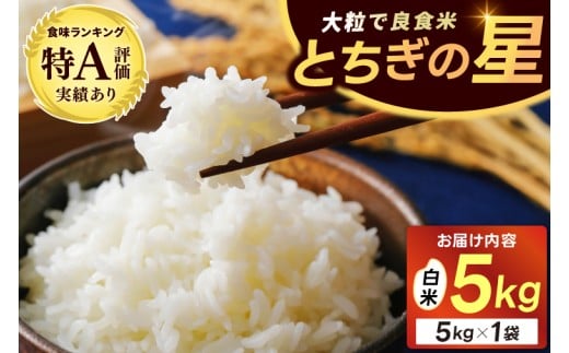 \新米 順次発送/★令和7年産★ 米 5kg 白米 精米 「とちぎの星」山崎観光農園 栃木県 益子町 ふるさと納税 お米 とちぎの星 白米 精米 5キロ 高評価 令和7年  (AU023)
