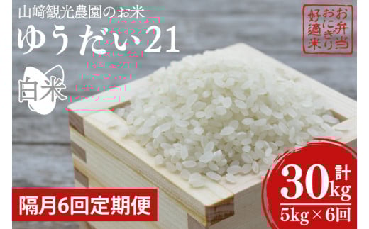 【全6回定期便】＜隔月＞★先行予約 10月より順次発送予定★ 山﨑観光農園のお米 ゆうだい21 白米 5kg（合計 30kg）｜栃木県 益子町 ふるさと納税 お米 ゆうだい21 白米 精米 5kg 高評価 令和7年産 先行予約 定期便 (AU021)