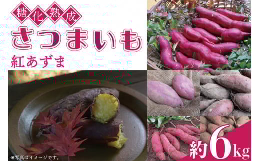 糖化熟成さつまいも(紅あずま)　約6kg｜栃木県 益子町 ふるさと納税 里山 熟成 さつまいも 紅あずま プレミアム 蜜芋（AU001-1）