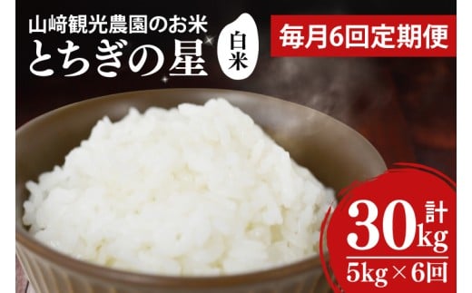 【全6回定期便】＜毎月＞ ★先行予約 10月より順次発送予定★ 山﨑観光農園のお米 とちぎの星 白米 5kg（合計 30kg）｜栃木県 益子町 ふるさと納税 お米 米 白米 精米 5kg 令和7年産 先行予約 定期便（AU036）