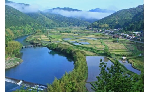 ふるさと四万十川の保全、観光及び交流の振興に関する事業