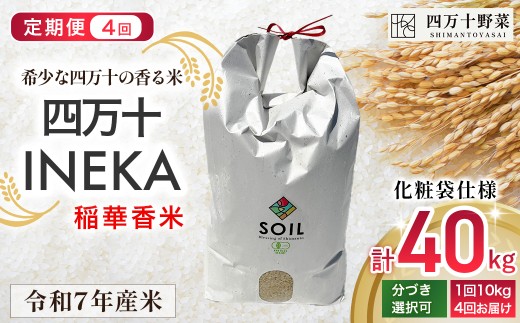 【新米予約】【有機玄米】希少な四万十の香る米 定期便4回(4か月) 10kg袋  四万十INEKA(稲華香米)化粧袋仕様 /Fsg-03 小分け 便利 ブランド米 お米 米 香米 香る米 玄米 令和7年度産米 高知県 四万十町