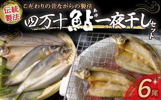 四万十鮎 一夜干しセット 6尾 ／Ess-02 あゆ アユ 鮎のひらき 一夜干し 干物 あゆ アユ 鮎のひらき あゆのひらき 魚 魚介 川魚 塩焼き 干物 ひもの 海鮮  国産 無添加 冷凍