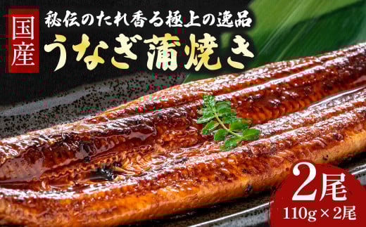 うなぎ 蒲焼き セット 220g (110g×2尾) Esu-A92 国産 名店 食べ方 調理済み うな重・ひつまぶしに タレ付き 山椒付き ギフト(お歳暮/お正月)高級 お取り寄せ グルメ  おすすめ 小分け 四万十 個包装 冷凍 鰻
