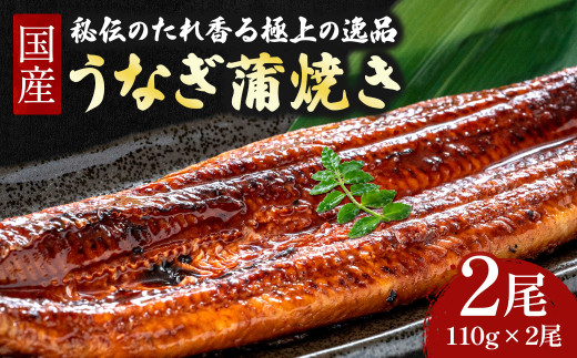四万十うなぎ 蒲焼き セット 220g (110g×2尾) 国産 ／Esu-A92 名店 食べ方 調理済み うな重・ひつまぶしに タレ付き 山椒付き うなぎ ギフト（お歳暮/お正月）高級 お取り寄せ グルメ  おすすめ 小分け 四万十 個包装 冷凍 鰻
