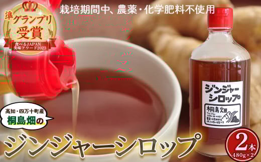 栽培期間農薬・化学肥料不使用の生姜で作った「桐島畑のジンジャーシロップ」480g×2本 Fkh-05  /生姜 しょうが 生姜シロップ 無農薬 ジンジャエール おすすめ