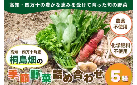 【栽培期間中、農薬・化学肥料不使用】桐島畑の季節野菜詰め合わせ(5種類) Fkh-A07 / やさい 国産野菜 四万十 高知 季節 フレッシュ 旬 無農薬 有機農業 野菜セット 新鮮 フレッシュ こだわり栽培 安心安全