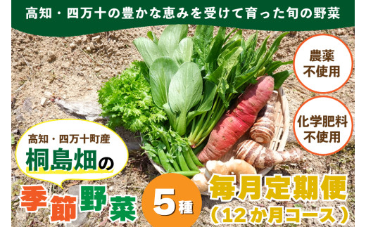 【栽培期間中、農薬・化学肥料不使用】桐島畑の季節野菜詰め合わせ(5種類)(定期便12か月コース) Rfkh-A02 / やさい 国産野菜 四万十 高知 季節 フレッシュ 旬 無農薬 有機農業 野菜セット 新鮮 フレッシュ こだわり栽培 安心安全
