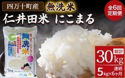 【6ヵ月便】罪悪感は必要ナシ!賢い選択「四万十町産 無洗米」5kg Sbos-B02 米 にいだまい 米 おこめ 精米 特別栽培米 受賞 おいしい おすすめ 人気 6回 高知県産 5キロ