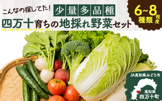【少量多品種】 四万十育ちの地採れ 野菜セット (6~8種類)Qjs-A21 野菜便  やさい 国産野菜  詰め合わせ 季節 フレッシュ 旬 (しょうが にら ピーマン トマト きゅうり せり しいたけ ほうれん草 菜の花 えんどう豆 なす みょうが かぼちゃ 大根)などから7種類前後をチョイス 何が入っているかは季節毎のお楽しみ