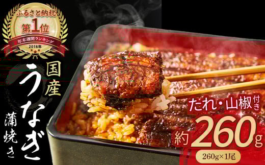 うなぎ蒲焼き (260gx1尾) Esu-40 冷凍  たれ付き 蒲焼 国産 鰻 ウナギ うなぎ 蒲焼き 肉厚 土用の丑の日 本格うなぎ 山椒付き 四万十鰻  おすすめ